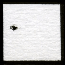 Gif animé d’une araignée mal dessinée sur fond blanc qui tourne en rond dans une boîte.